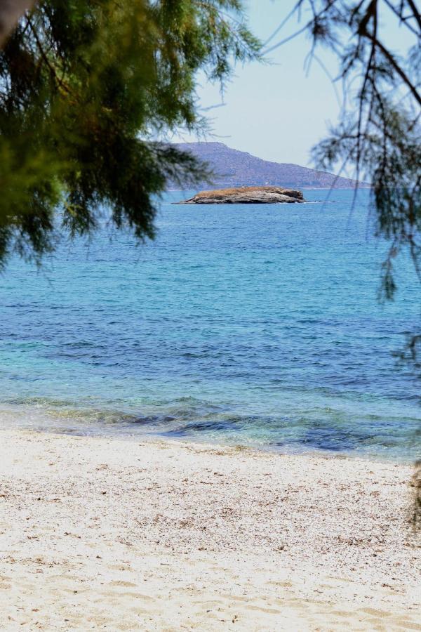 Beach House Set In A Beautiful Bay Karystos  Ngoại thất bức ảnh